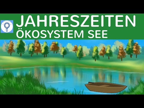 Jahreszeitenverlauf im Ökosystem See - Jahreszeiten im See - Ökosysteme 4