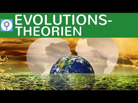 Evolutionstheorien: Cuvier, Lamarck, Darwin, Kreationismus - im Überblick | Evolution 3