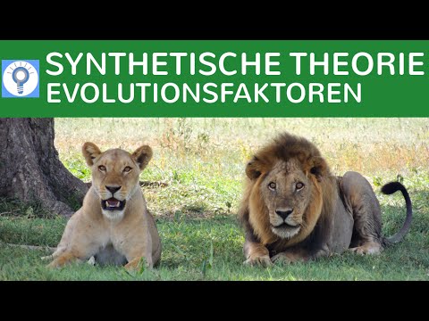 Synthetische Evolutionstheorie - Evolutionsfaktoren | Evolution 9