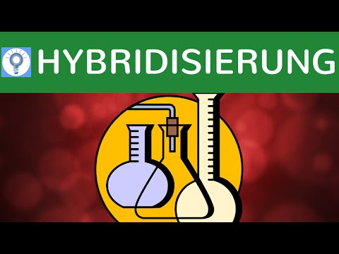 Hybridisierung &amp; DNA-Hybridisierungsverfahren einfach erklärt - Southern-Blotting &amp; Bsp - Analyse 2