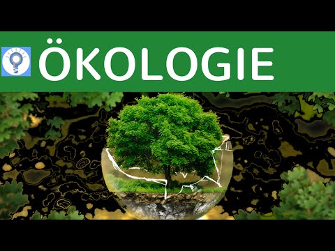 Was ist Ökologie?! &amp; Grundprinzip der Ökologie | Ökologie