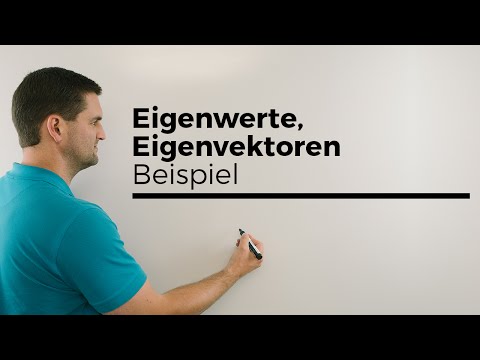 Eigenwerte, Eigenvektoren anschaulich am Beispiel: Punkt abbilden, Abbildung, Mathe by Daniel Jung