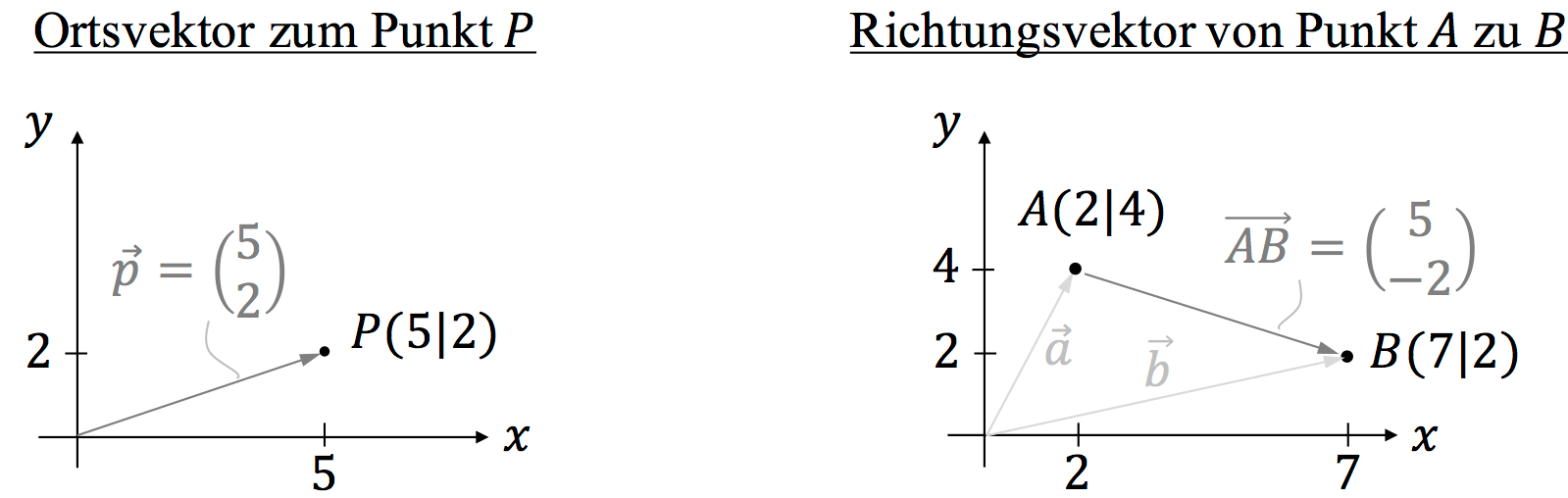 Vektoren Schritt für Schritt berechnen - StudyHelp