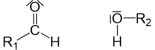 Nucleophile Addition