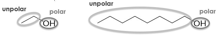 unpolar-polar-alkhohole