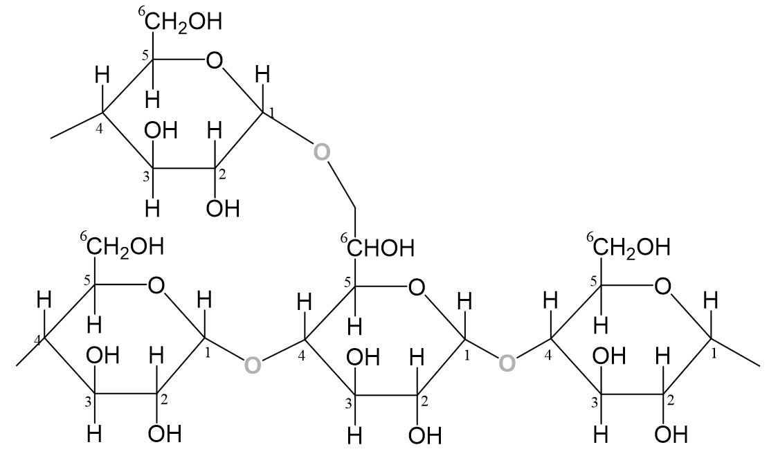 Amylopektin