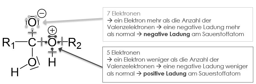 Carbonsäure & Alkohole positive Ladungen