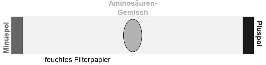 Elektrophorese