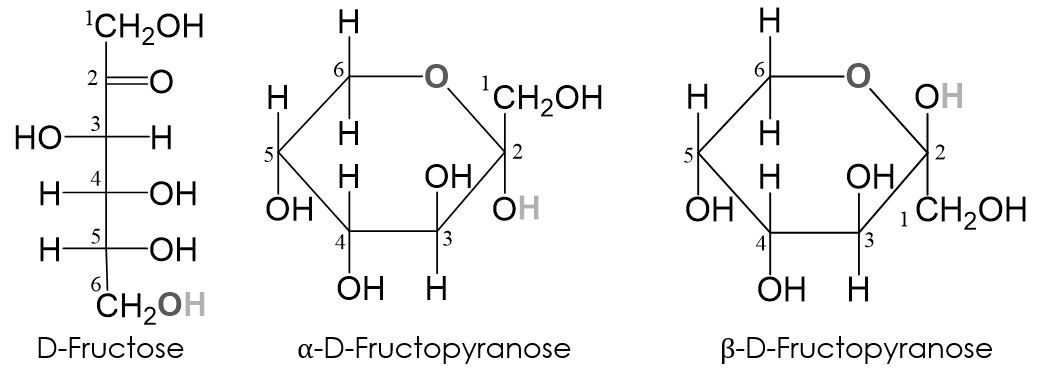 Fructopyranose