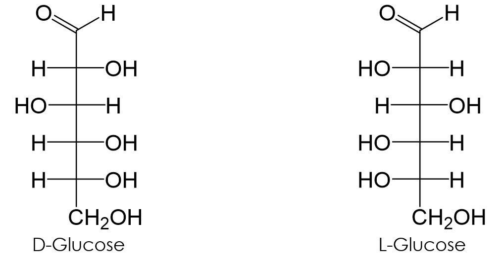 Glucose