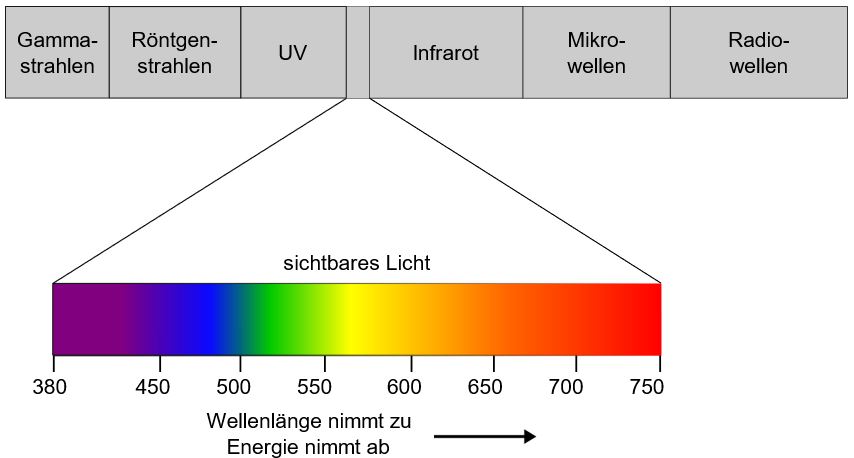 Was ist Licht und warum sehen wir es? StudyHelp Online-Lernen