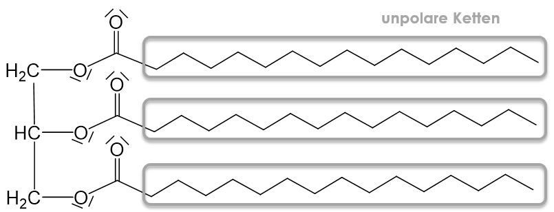 Löslichkeit und Dichte von Fetten
