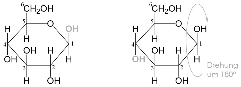 Maltose Reaktion