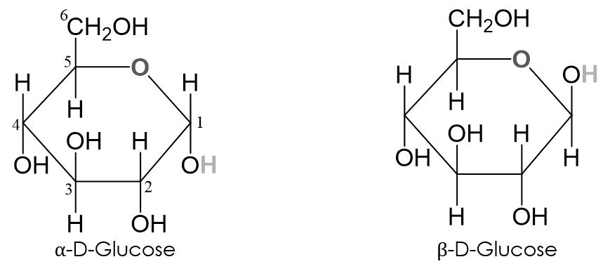 α-D-Glucose-β-D-Glucose