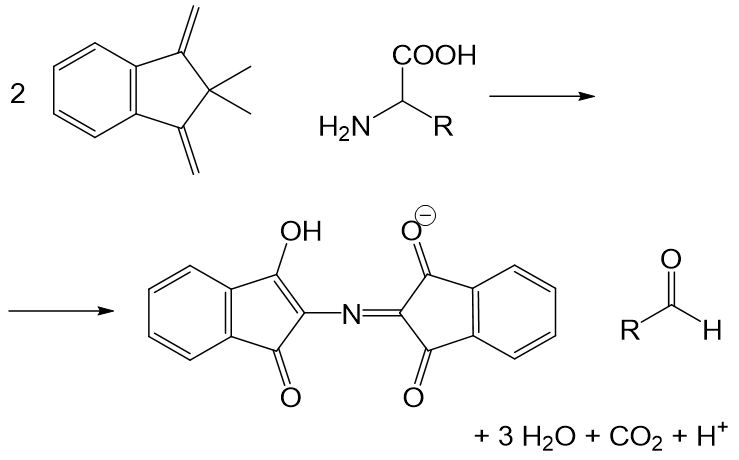 Ninhydrin-Reaktion