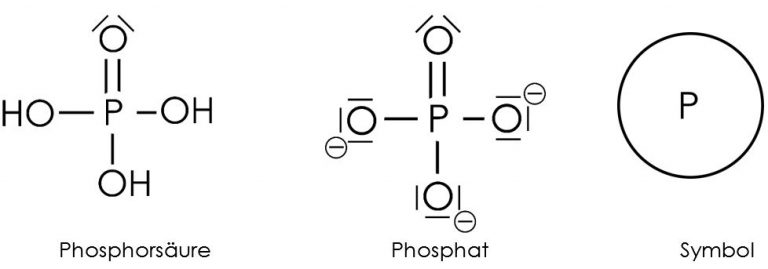 Anorganisches Phosphat Zu Niedrig