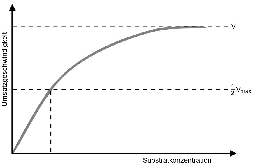 Substratkonzentration von Enzymen