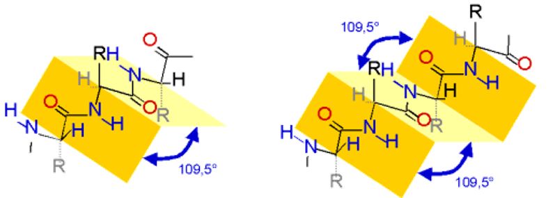 β-Faltblattstruktur