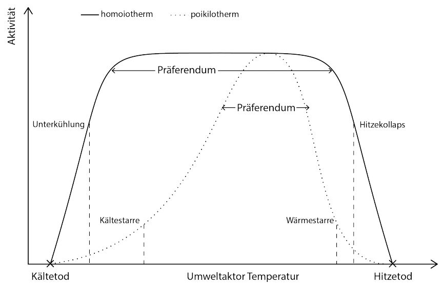 Gegenüberstellung homoiothermer und poikilothermer Tiere