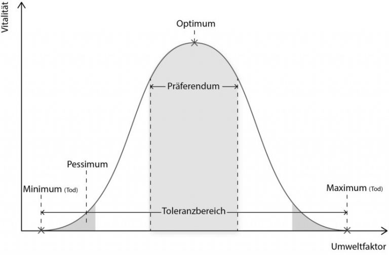 Umweltfaktoren Und ökologische Potenz www.studyhelp.de